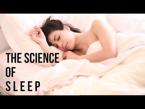 The Science Of Sleep. How To Optimize Your Sleep For Better Health & Productivity.