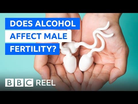 Does alcohol affect male fertility? - BBC REEL